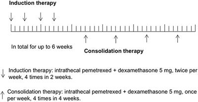 A Pilot Phase 1 Study of Intrathecal Pemetrexed for Refractory Leptomeningeal Metastases From Non-small-cell Lung Cancer